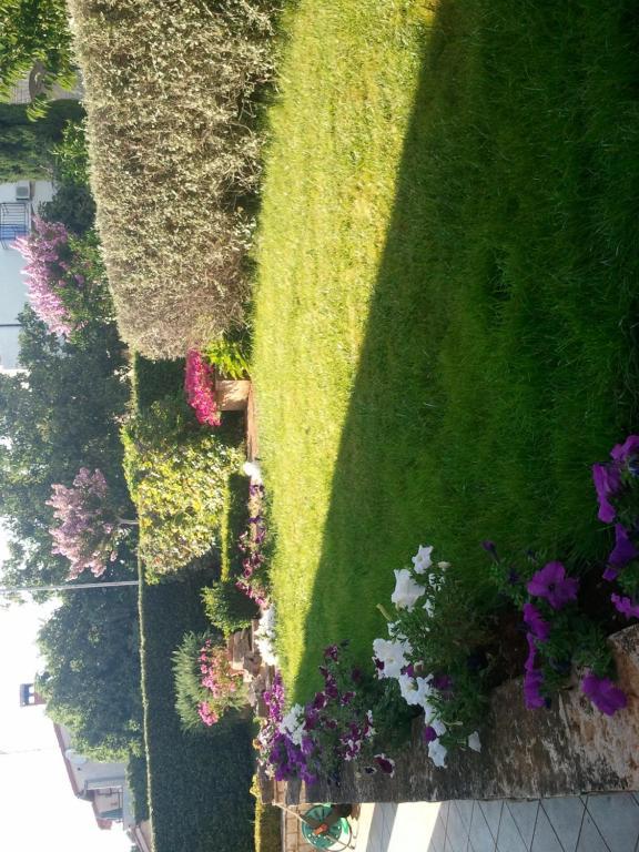 And Irena Guest house 3*